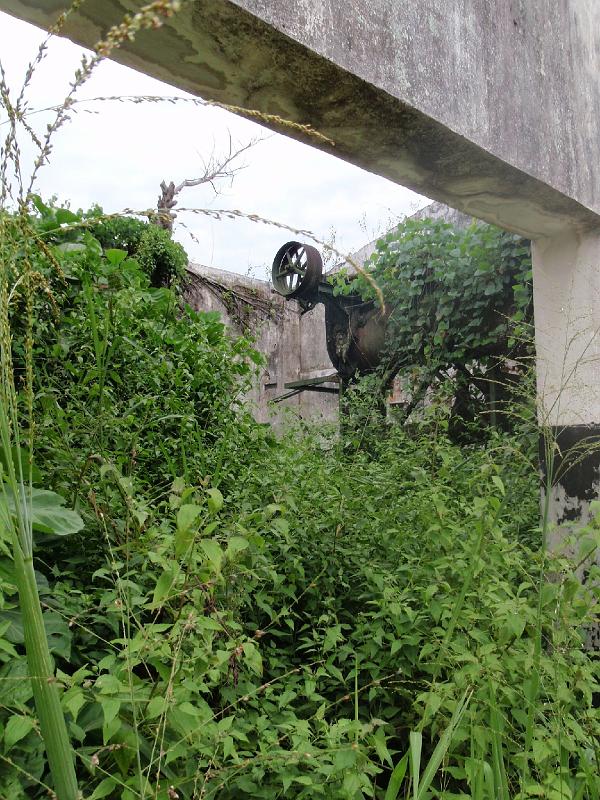 The bush has won the battle with development in Lodja. Old cotton factory Lodja 2.jpg